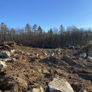 Rocks and rugged landscape.